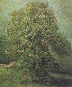 Vincent Van Gogh Chestnut Tree in Blosson (nn04) oil painting artist